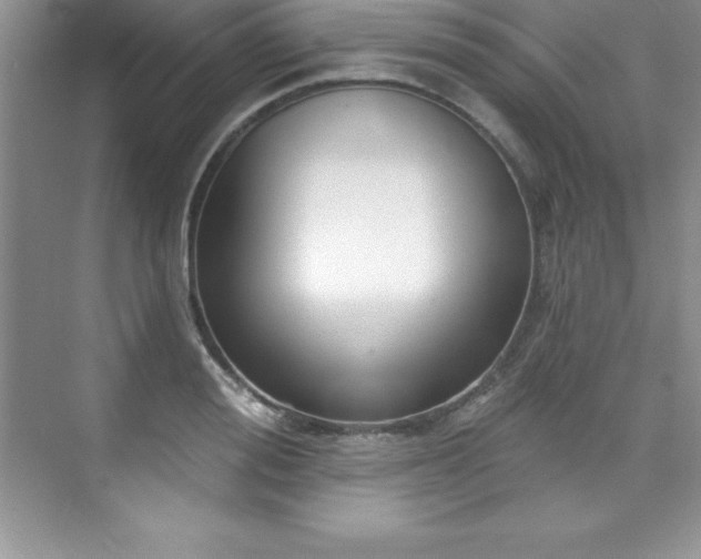 X0000076220988200609281108