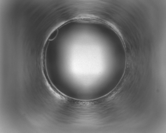 X0000076221003200609281108