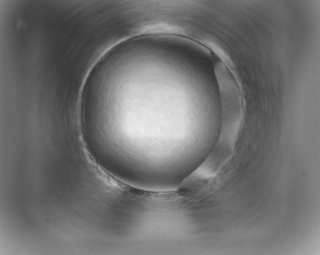 X0000076221008200609281108