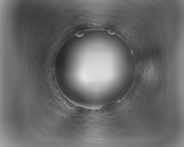 X0000076221009200609281107