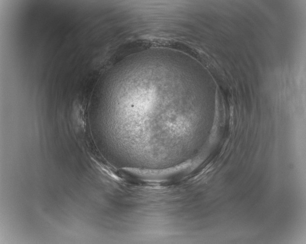 X0000076221010200609281107