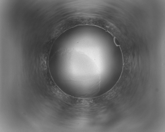 X0000076221013200609281107