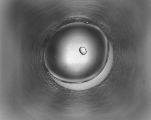 X0000076221014200609281107