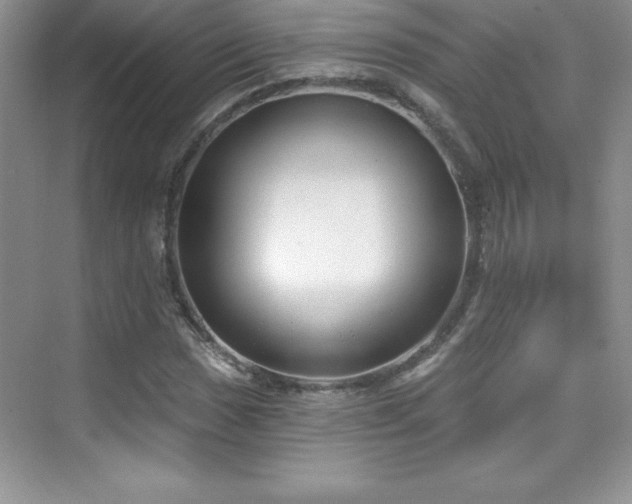 X0000076221017200609281107