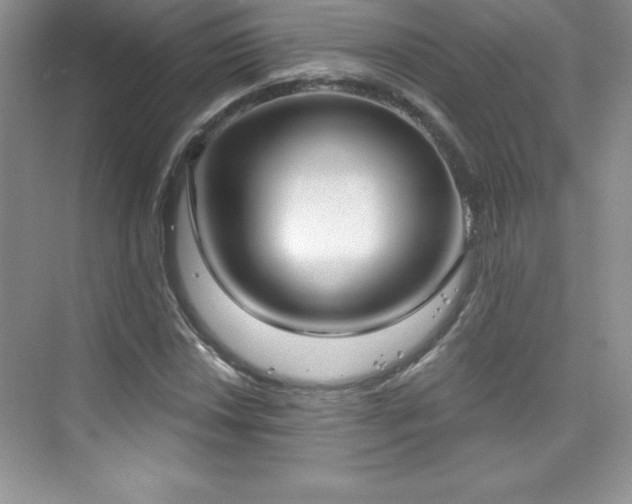 X0000076221018200609281107
