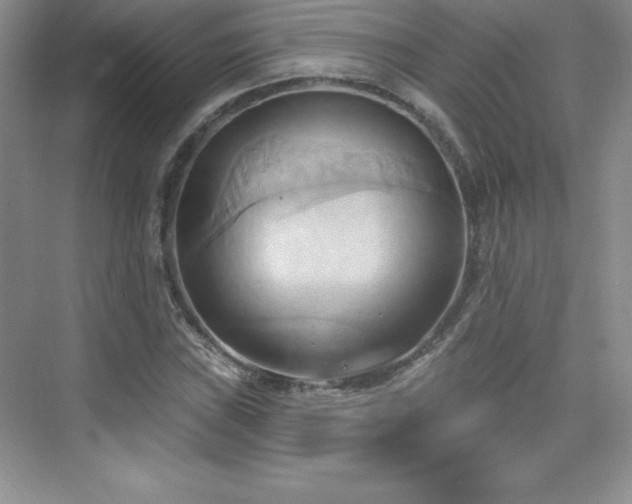 X0000076221019200609281107