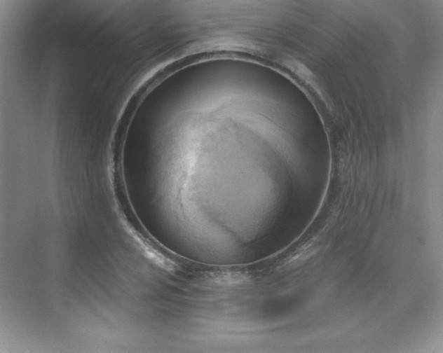 X0000076221024200609281107