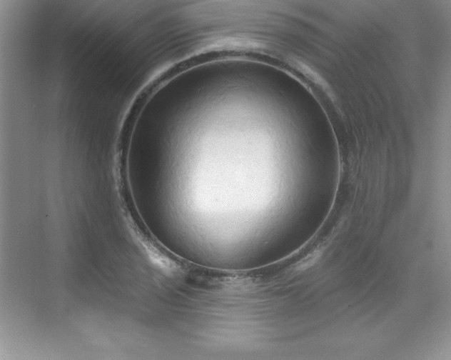 X0000076221029200609281107