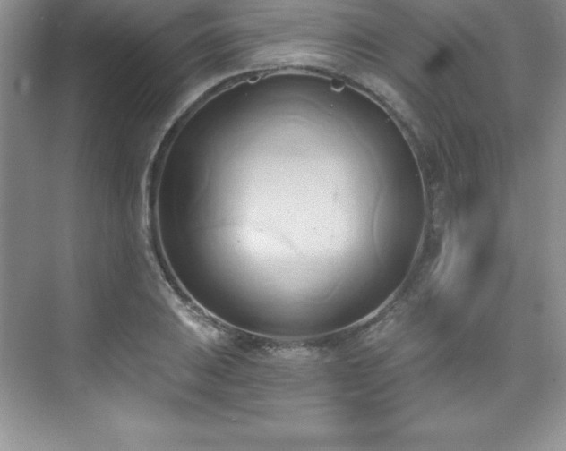 X0000076221031200609281107