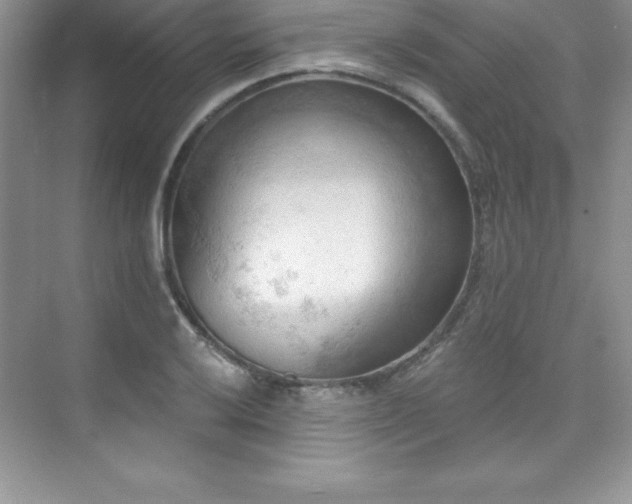 X0000076221032200609281107