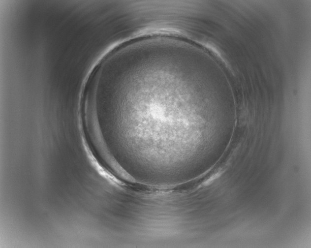 X0000076221038200609281107