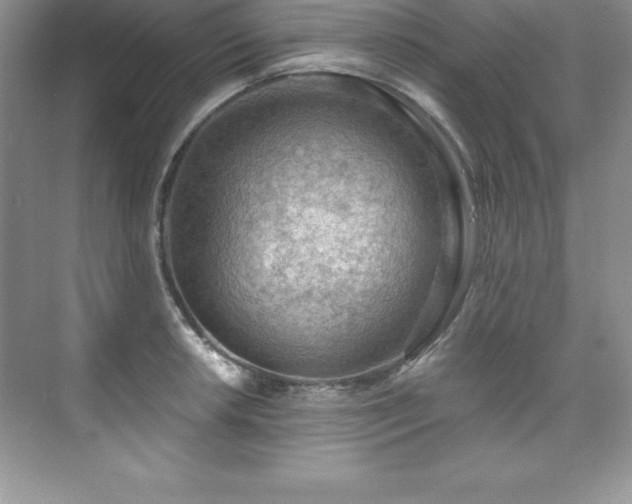 X0000076221042200609281107
