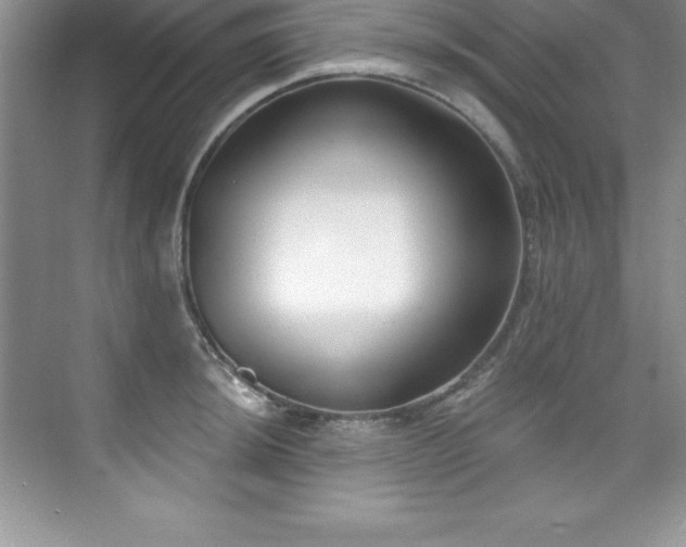 X0000076221044200609281107