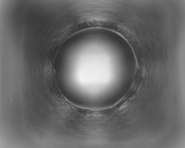 X0000076221061200609281107