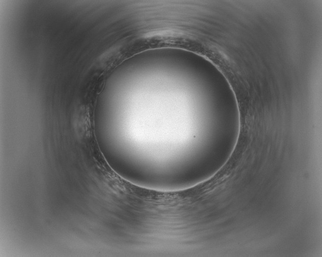 X0000076221062200609281107
