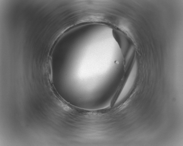 X0000076221081200609281106