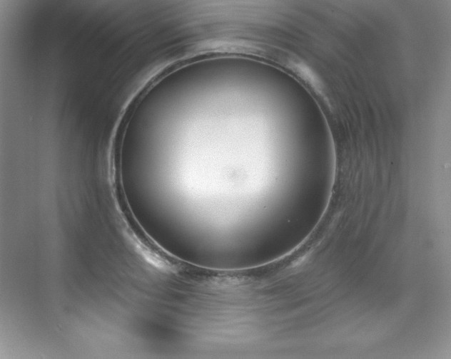 X0000076221082200609281106