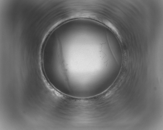 X0000076221088200609281106