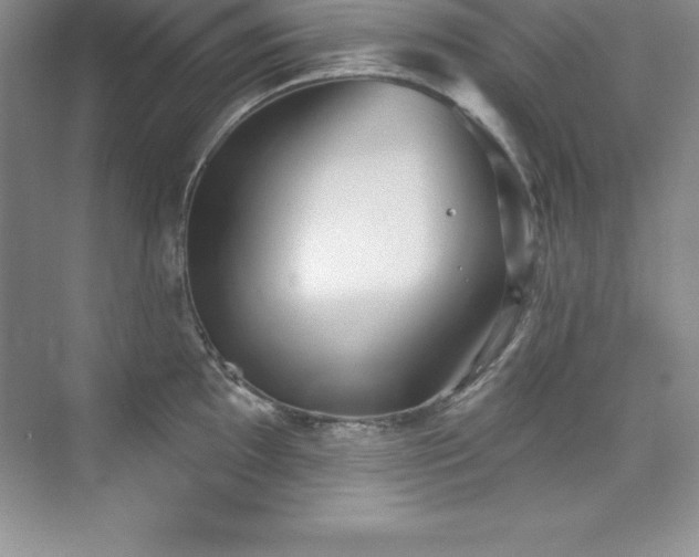 X0000076221097200609281106