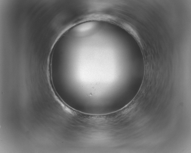 X0000076221103200609281106