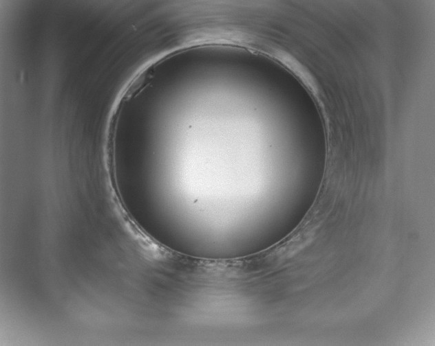 X0000076221104200609281106