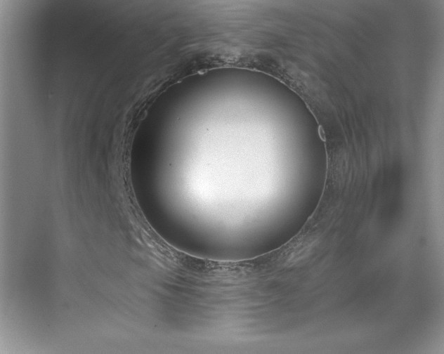 X0000076221105200609281105