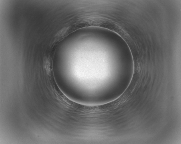 X0000076221108200609281105
