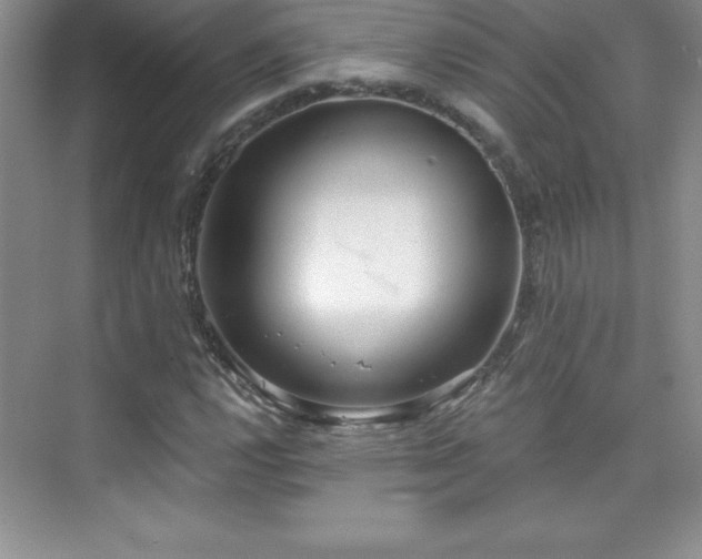 X0000076221112200609281105