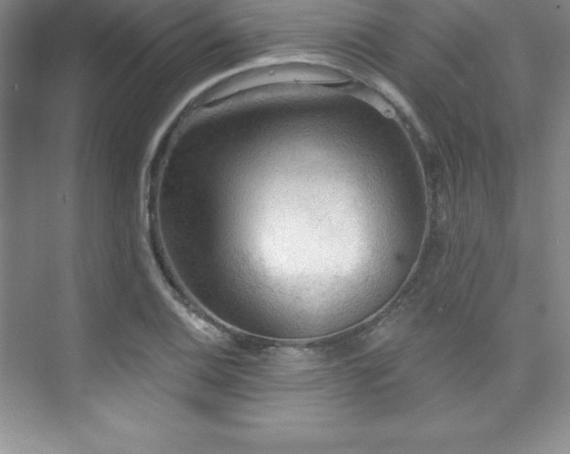 X0000076221124200609281105