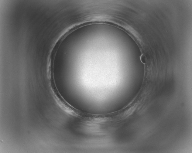 X0000076221126200609281105