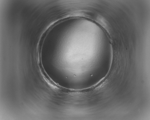 X0000076221127200609281105