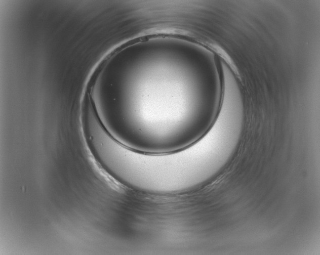 X0000076221132200609281106