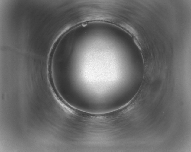 X0000076221135200609281106