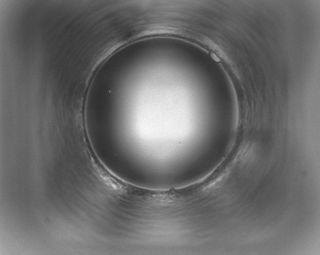 X0000076221137200609281106