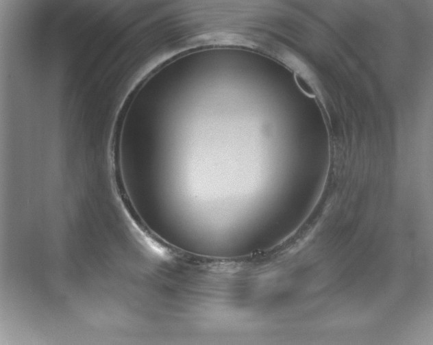 X0000076221141200609281106
