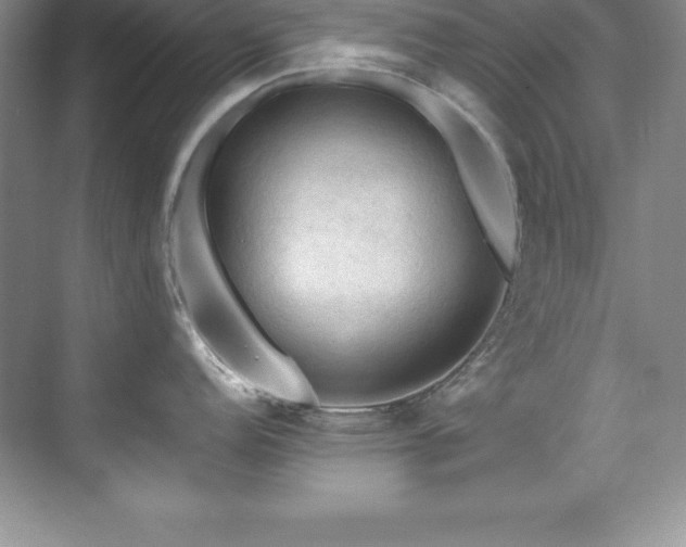 X0000076221152200609281106