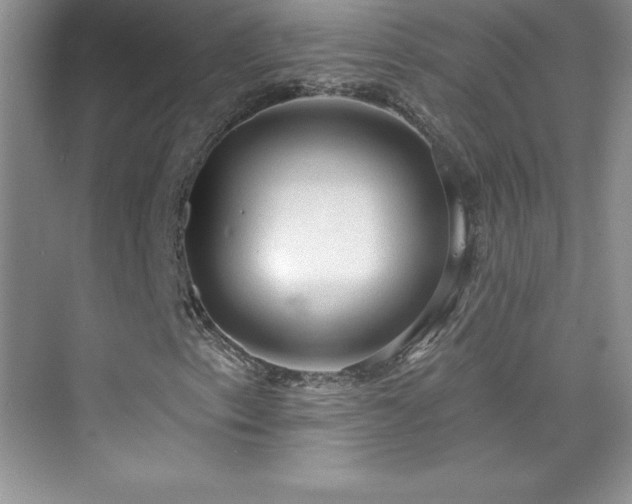X0000076221153200609281105
