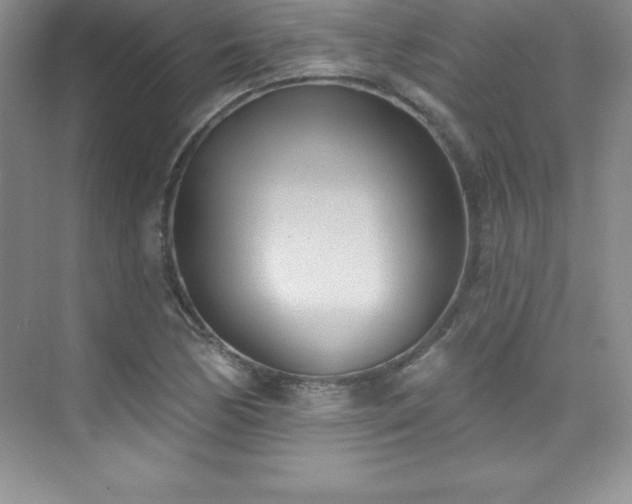 X0000076221170200609281105