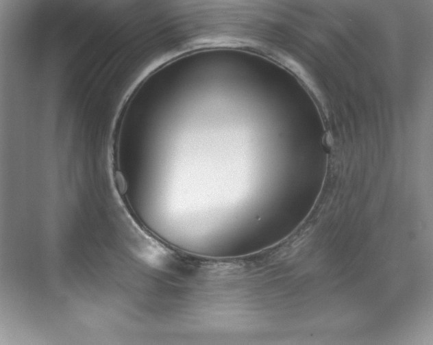 X0000076221187200609281104