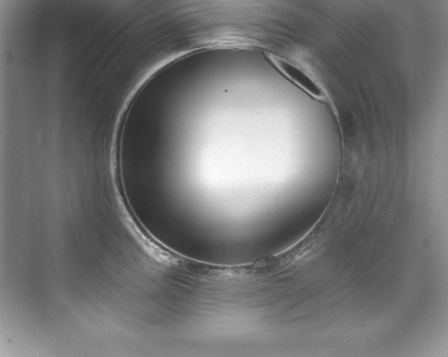 X0000076221195200609281104
