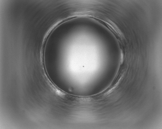 X0000076221196200609281104