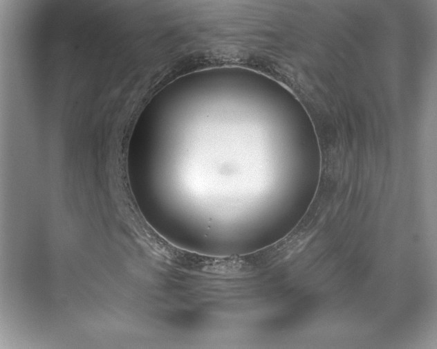 X0000076221201200609281103