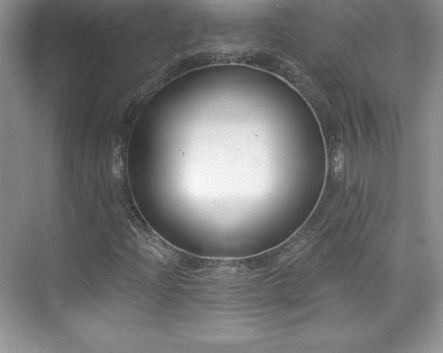 X0000076221204200609281104