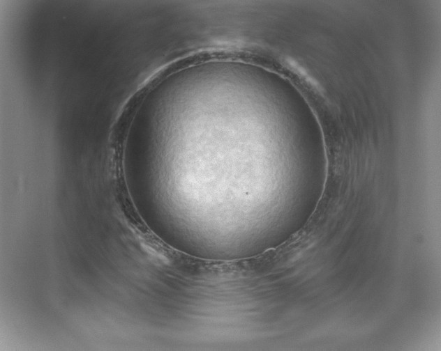 X0000076221208200609281104