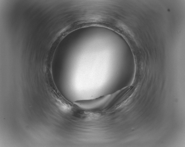 X0000076221210200609281104