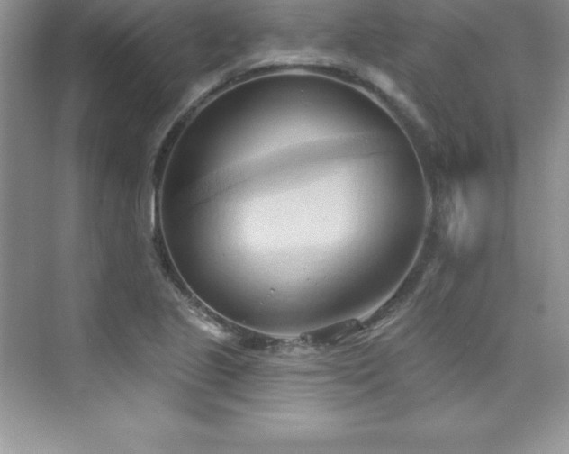 X0000076221221200609281104