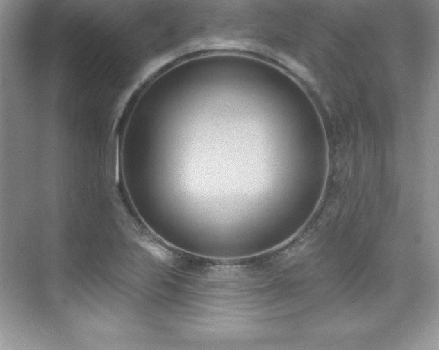 X0000076221223200609281104