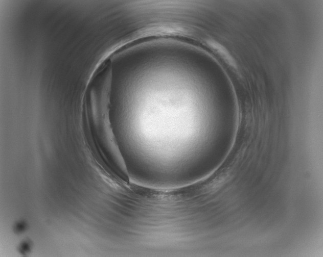 X0000076221226200609281104
