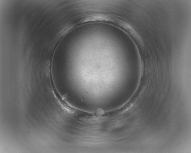 X0000076221233200609281104