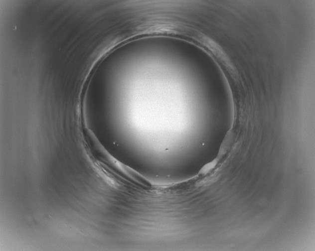 X0000076221234200609281104